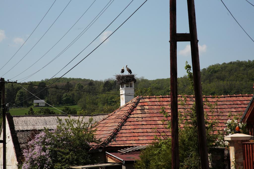Angel Village Szentantalfa Kültér fotó